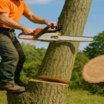 Tree Services